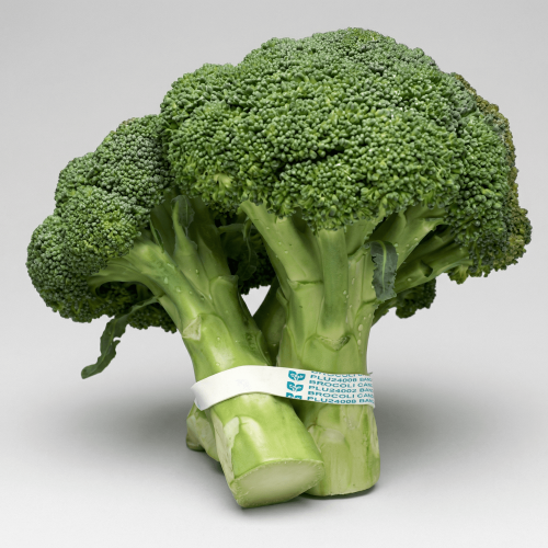 freepik__-rubber-bands-text-studio__24126 copy